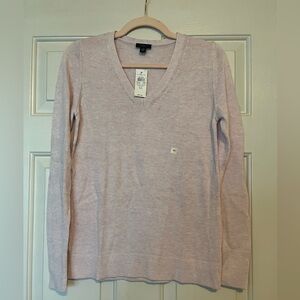 Ann Taylor Factory V-Neck Sweater - Soft Pink